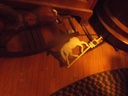 DSCF1551.JPG