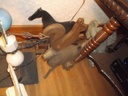 DSCF1538.JPG