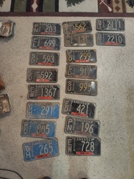 License tags (3).jpg